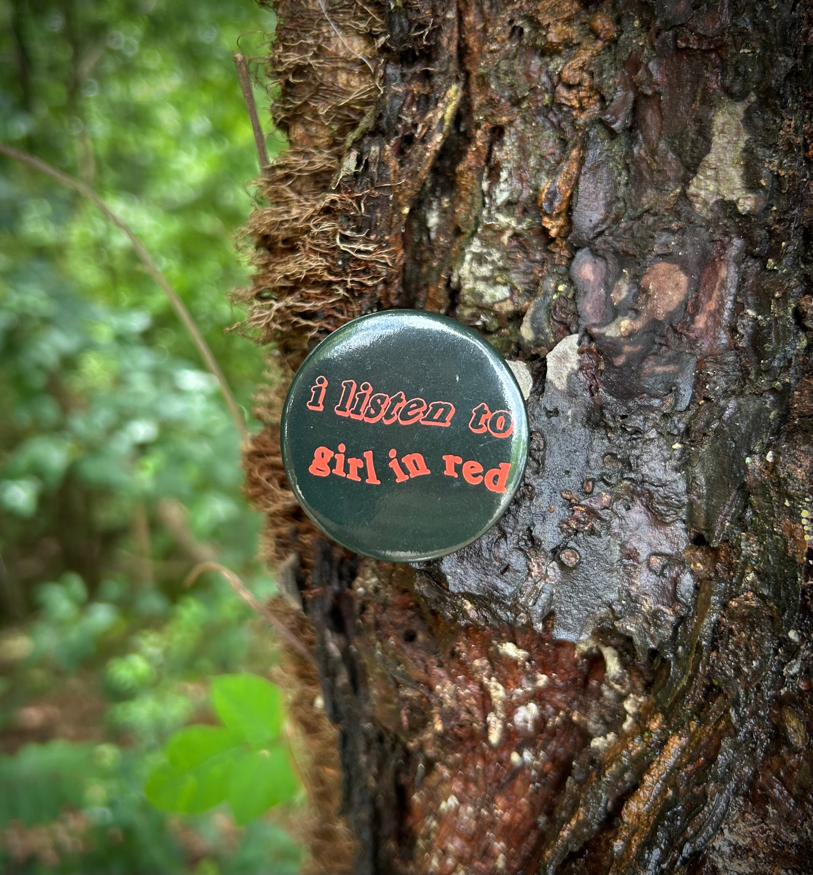 pin ₊˚✧𑁍.ೃ࿔*